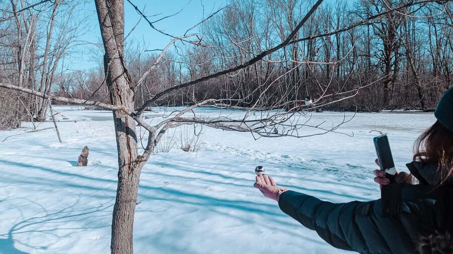 Ottawa: Guided Nature Walk & Wildlife Tour with Hotel Pickup - Who should book this experience?