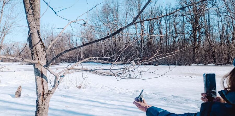 Ottawa: Guided Nature Walk & Wildlife Tour with Hotel Pickup - Hotel pickup makes the outing simple