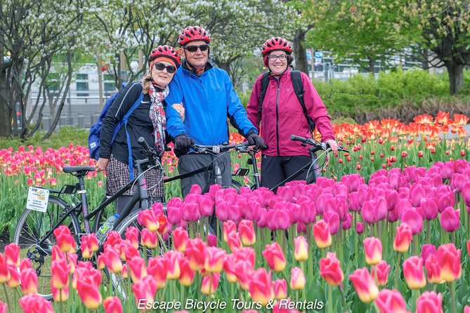 Ottawa Highlights 3.5 Hour Bike Tour - Hog’s Back Falls, Carleton University, and the Arboretum