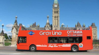 Hop-On Hop-Off Guided City Tour Pass