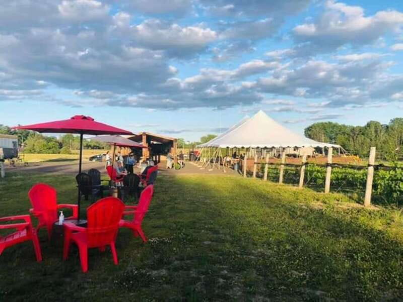 Ottawa: Local Wine and Cider Tour - Farm Gate Cider ends the day with orchard and pizza