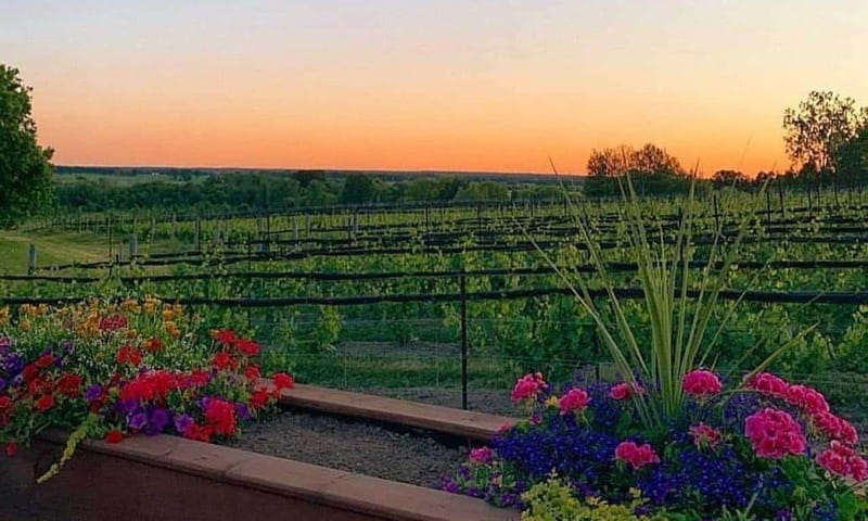 Ottawa: Local Wine and Cider Tour - Who will enjoy this Ottawa day trip?