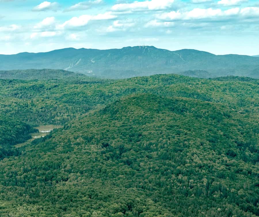 Ottawa: Panoramic helicopter flight (Gatineau Park + downtown) - Gatineau Park, Meech Lake, and the river views