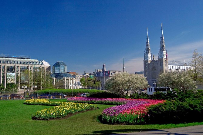 Ottawa Private Day Tour from Montreal - The guide makes the biggest difference