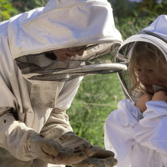 Paradise Valley: Bee Adventure Tour! - A one-hour look inside a working hive