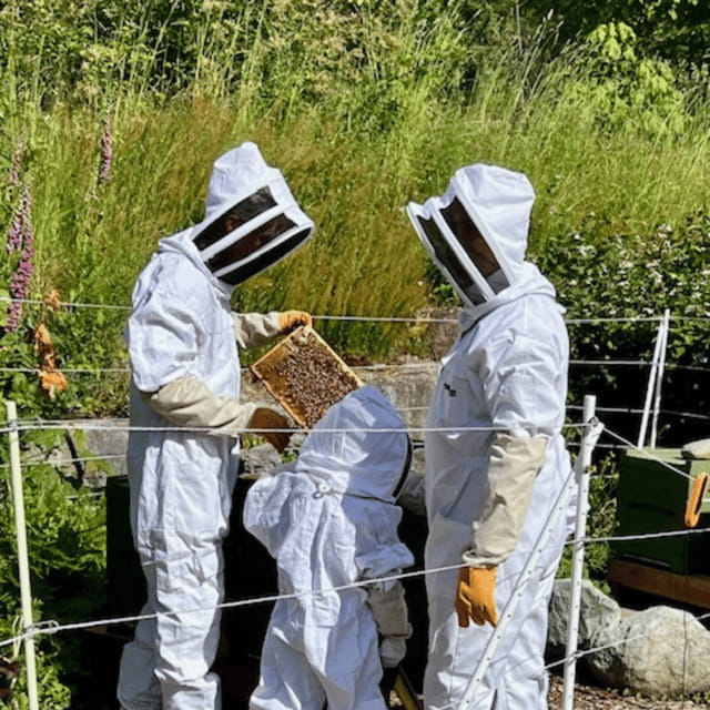Paradise Valley: Bee Adventure Tour! - Who will enjoy this most