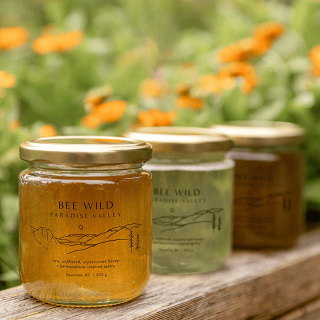 Paradise Valley: Bee Adventure Tour! - Should you book the Bee Adventure?