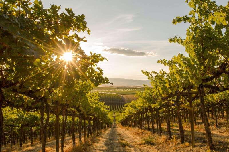 Penticton: Naramata Bench Full Day Guided Wine Tour - Ruby Blues Winery starts the tasting route