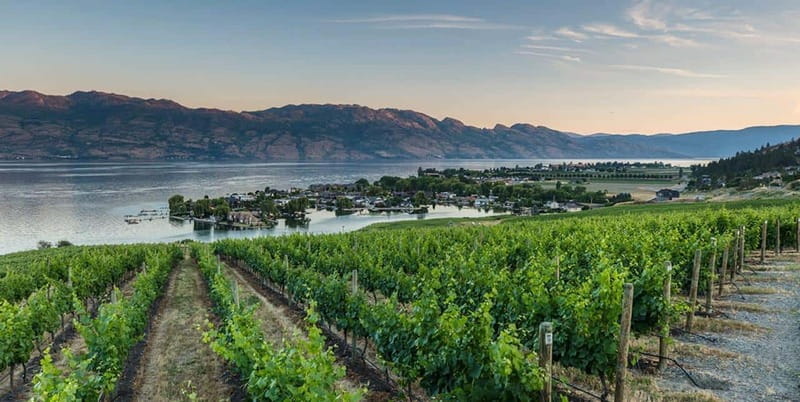 Penticton: Naramata Bench Full Day Guided Wine Tour - Three Sisters Winery closes the five-stop route
