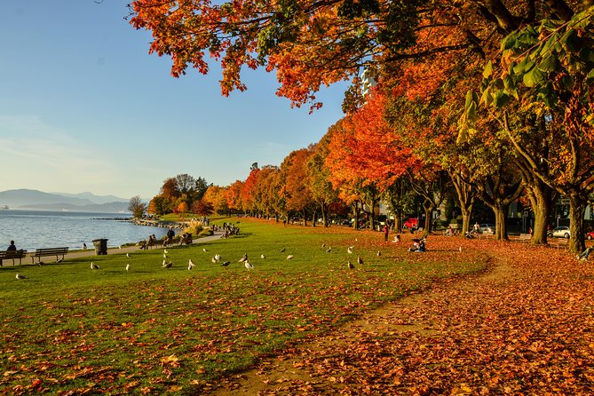 Photography & Hiking in Nature - English Bay is the day’s big finish