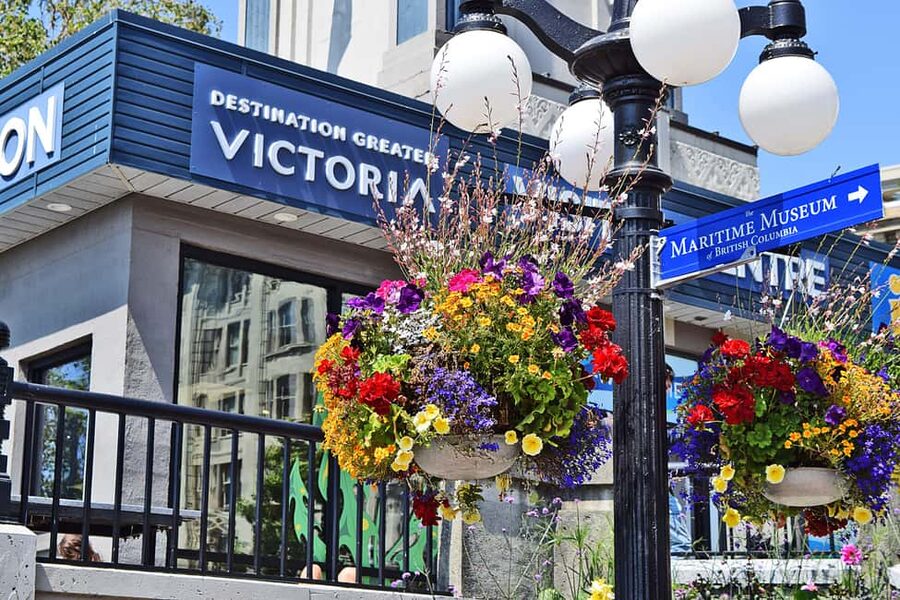 Pickle Pub Crawl: Ferry Rides and Appetizers - What the $52 price really covers