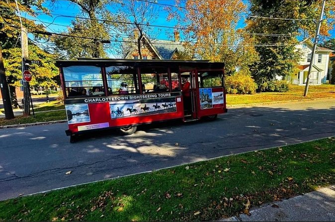 Pony Express City Tour - Starting near the cruise terminal at 6 Prince Street