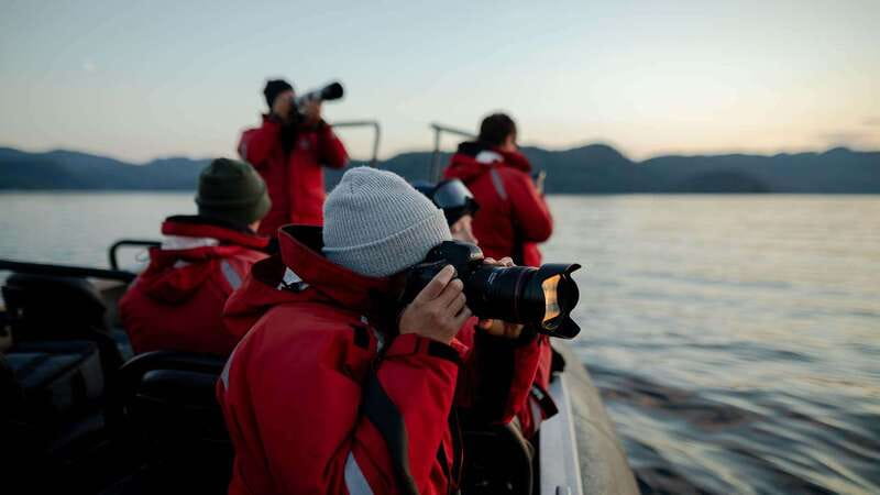Port Hardy: Sea Otter and Whale Watching - Guides, local knowledge, and respectful wildlife viewing