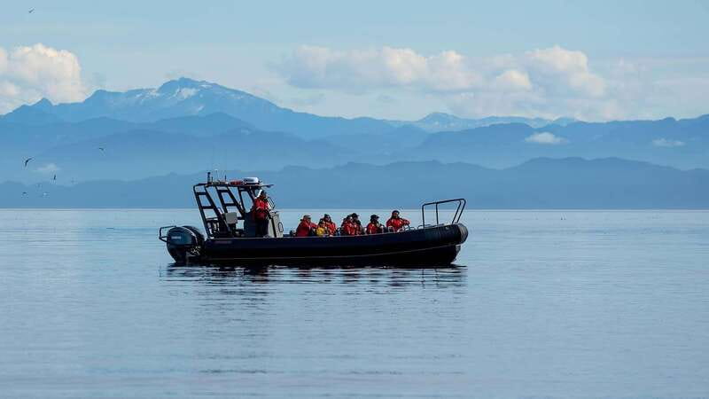 Port Hardy: Sea Otter and Whale Watching - The five-and-a-half-hour route from office to open water