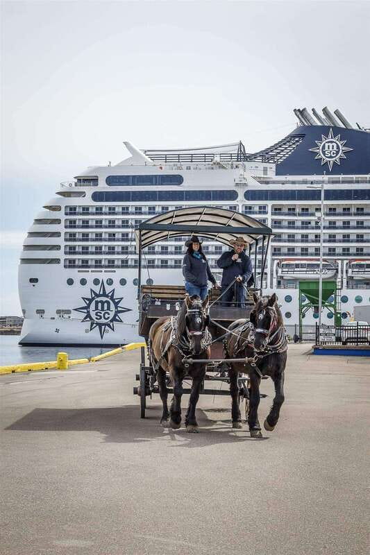 Prince Edward Island: Horse-Drawn Carriage Tour - Seeing Charlottetown at Horse Speed