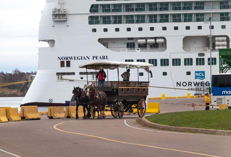 Prince Edward Island: Horse-Drawn Carriage Tour - The Guides Make the Short Route Work