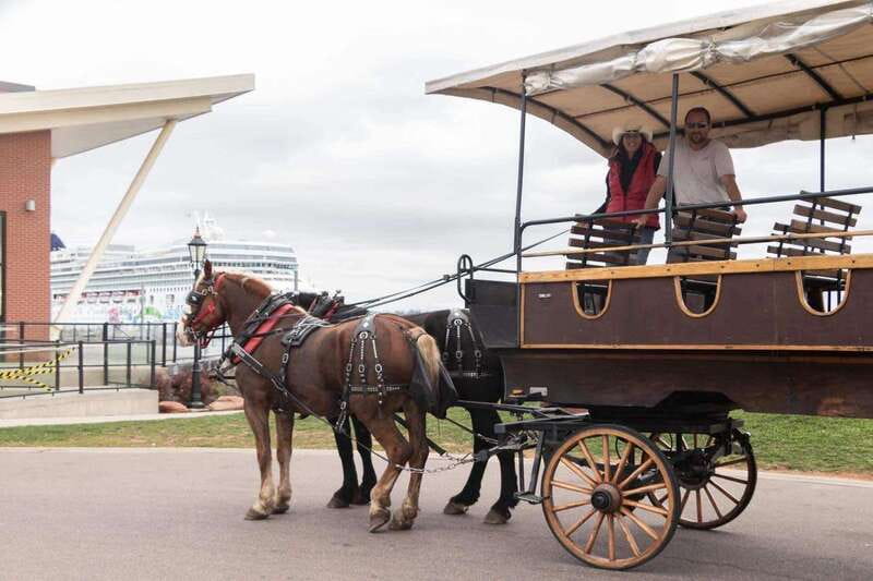Prince Edward Island: Horse-Drawn Carriage Tour - The Horses Are Part of the Experience