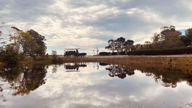 Prince Edward Island: Horse-Drawn Carriage Tour - Is $23 a Good Price?