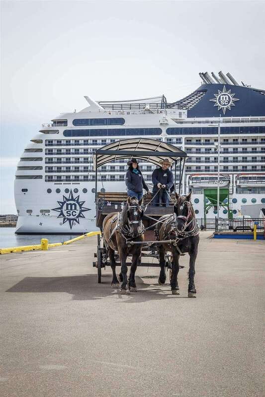 Prince Edward Island: Horse-Drawn Carriage Tour - Practical Details Before You Book