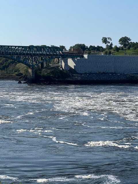 Private Bay of Fundy and City Highlights Tour up to 7 - Reversing Falls and the power of the tides