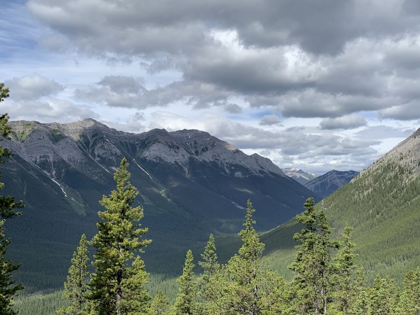 PRIVATE: Bear Country Hiking Tour - 4H Adventure - A guide who adds confidence in bear country
