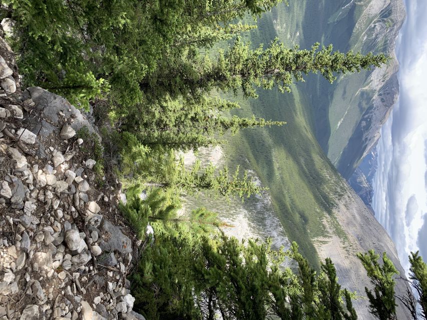 PRIVATE: Bear Country Hiking Tour - 4H Adventure - Who will enjoy this hike most