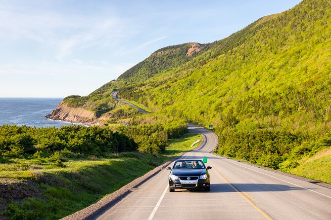 Private Cruise Excursion in Cape Breton - Lunch, timing, and the practical details