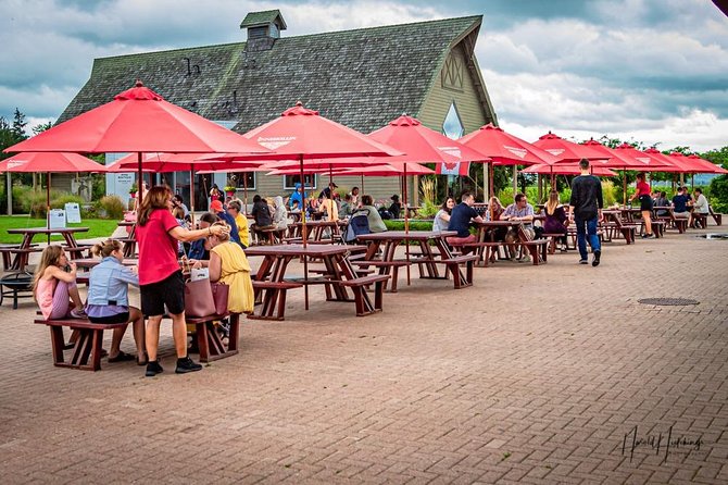 Private Customizable Scenic Niagara Falls Day Trip/Tour/Adventure - What the van and included extras add