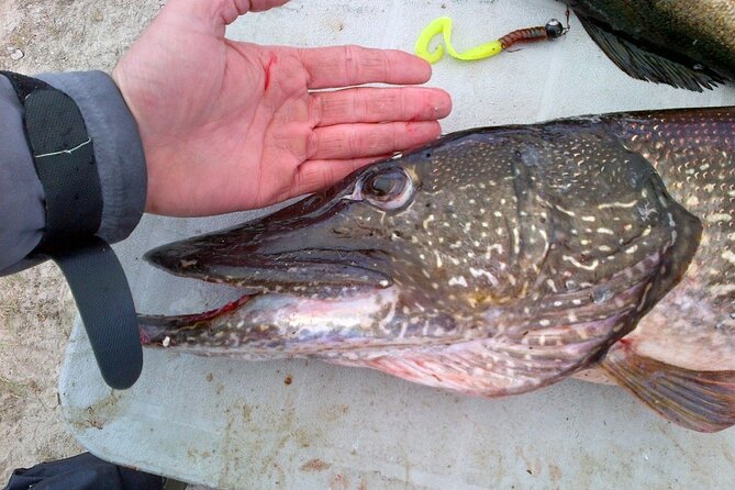 Private Fishing Adventure on the St. Lawrence River - Timing, weather, and booking plans