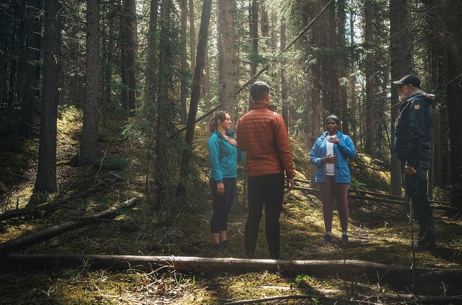 Private Forest Bathing Experience Connect with Nature - Who will enjoy this most