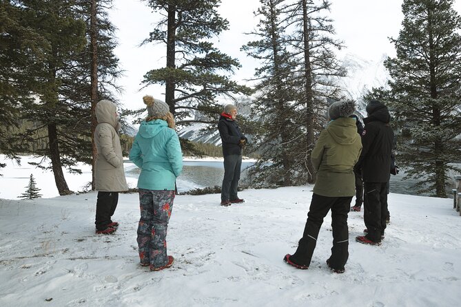 Private Forest Bathing Experience Connect with Nature - What the 2.5-hour timing means