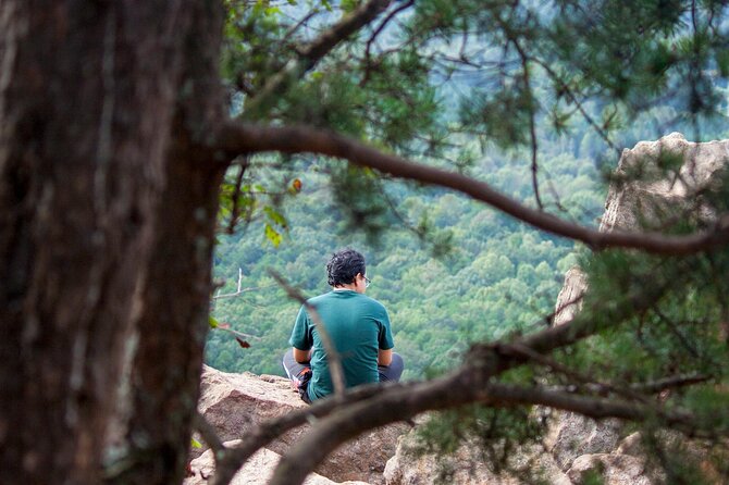 Private Forest Bathing Experience Connect with Nature - A slow walk through forest and lakeside surroundings