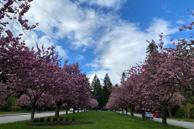 Private Guided Grand City Tour in Vancouver with your luggage - Crossing the Lions Gate Bridge changes the scale of the city