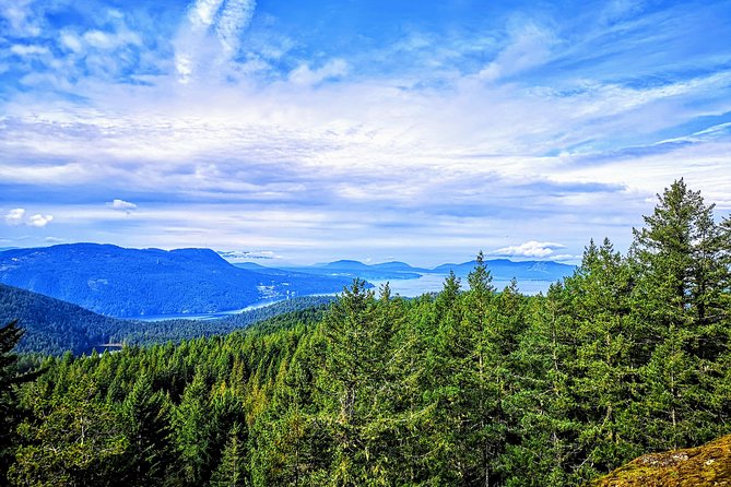 Private Guided Rainforest Hike in Victoria - Is $82.57 per person good value?