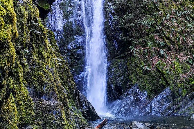 Private Guided Rainforest Hike in Victoria - Who will enjoy this hike most?