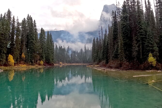Private Guided Tour to Banff Lake Louise|Moraine|Icefields &More! - Peyto Lake offers the high viewpoint