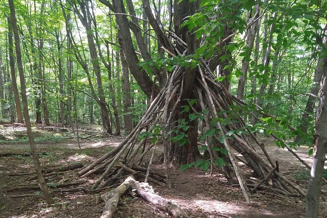 Private Singhampton Caves Hiking Tour, Collingwood/Blue Mountain - Singhampton Caves compared with Nottawasaga Bluffs