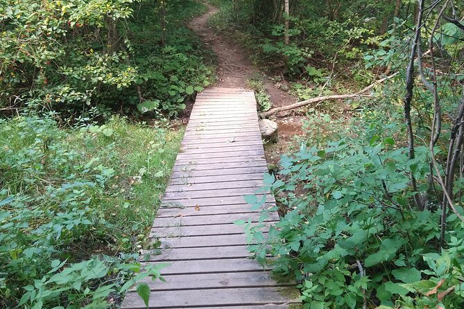 Private Singhampton Caves Hiking Tour, Collingwood/Blue Mountain - Booking and cancellation details