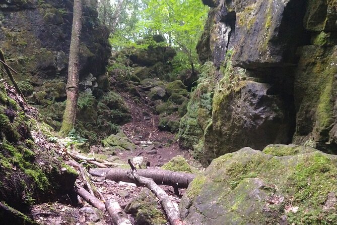 Private Singhampton Caves Hiking Tour, Collingwood/Blue Mountain - Why a private guide changes the outing