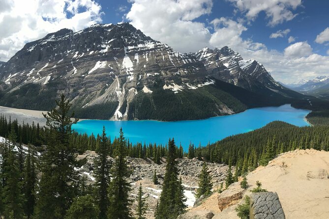 Private Tour Banff Yoho Jasper National Park for a Small Group - Why the private vehicle matters