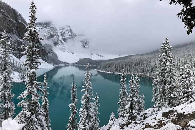 Private Tour of Lake Louise and the Icefield Parkway for up to 12 guests - The Icefields Parkway supplies the day’s big road views