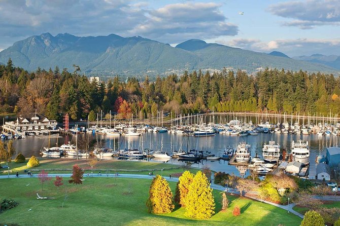 Private Tour: Vancouver Sightseeing and Capilano Suspension Bridge - What the private format really buys you