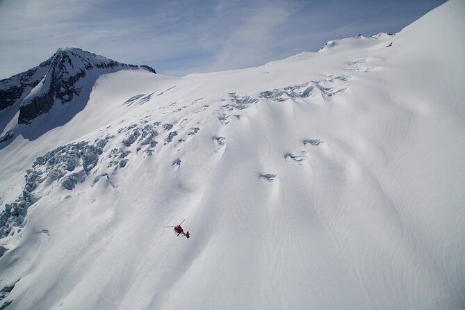 Private Whistler Helicopter Tour + Mountain Landing - Comfort, safety, and the pilot’s role