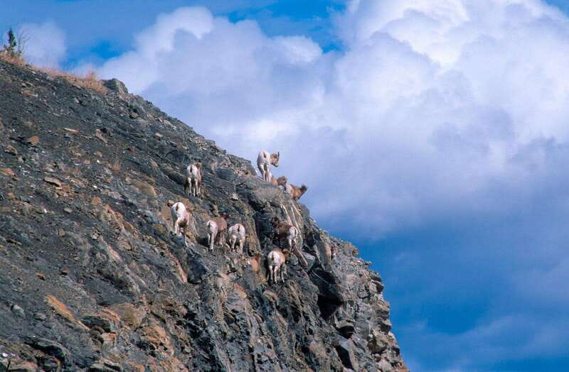 PRIVATE Wilderness and Wildlife Walking Tour - 3hrs - Key points to know before you go