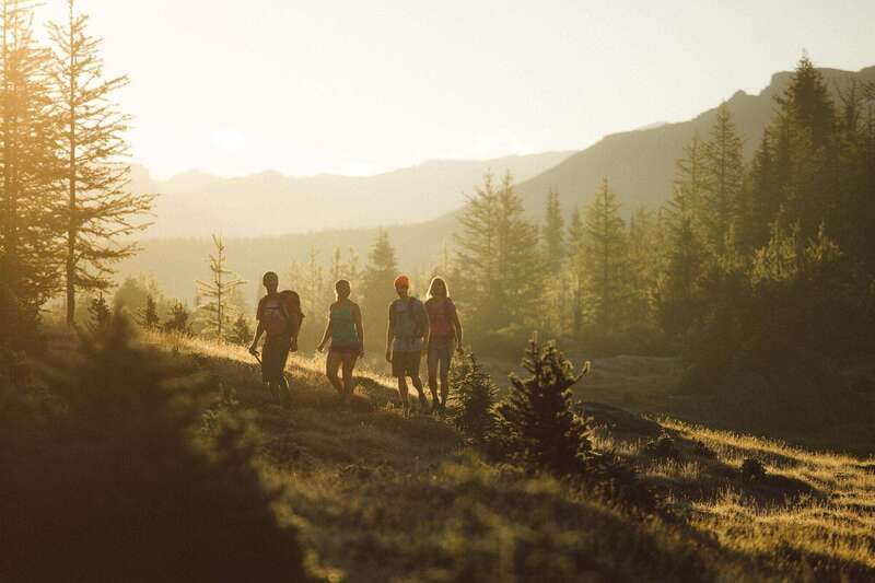 PRIVATE Wilderness and Wildlife Walking Tour - 3hrs - How the guide adds value