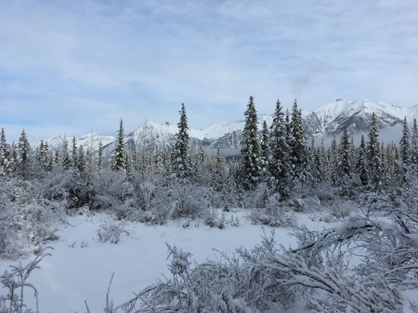 PRIVATE Wilderness and Wildlife Walking Tour - 3hrs - Is $329 good value?