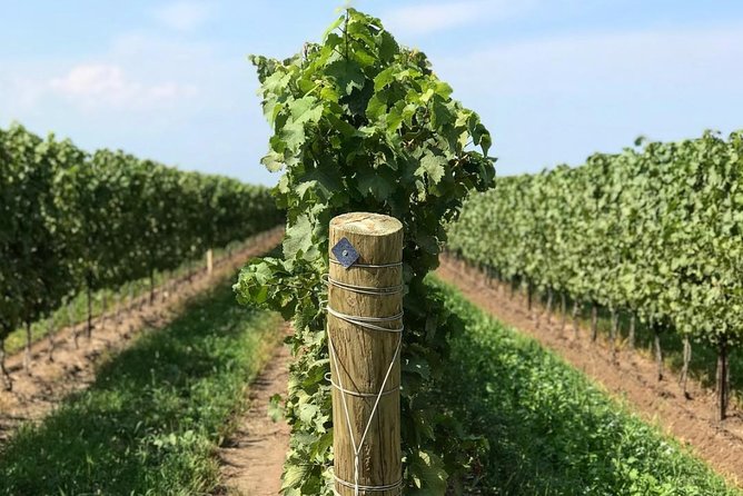 Private Wine & Charcuterie Tour (Customizable) - Pickup makes the day easy, but give the full address