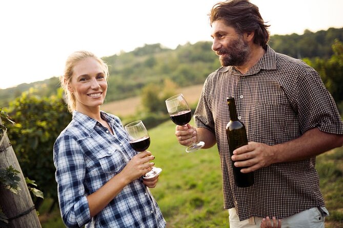 Private Wine Tour in Niagara-on-the-Lake w/ cheese & charcuterie - Premium stops with more unusual experiences