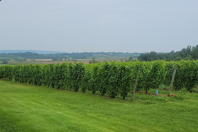 Private Wine Tours from Halifax - Lunch: Helpful Coordination, Separate Cost