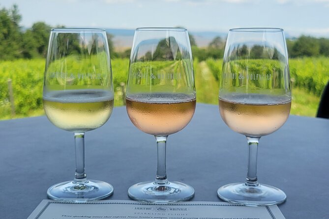 Private Wine Tours from Halifax - Who Will Enjoy This Tour Most?